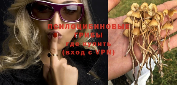 СК Сосновоборск